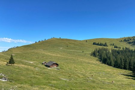 De Postalm is de grootste Alm van de regio